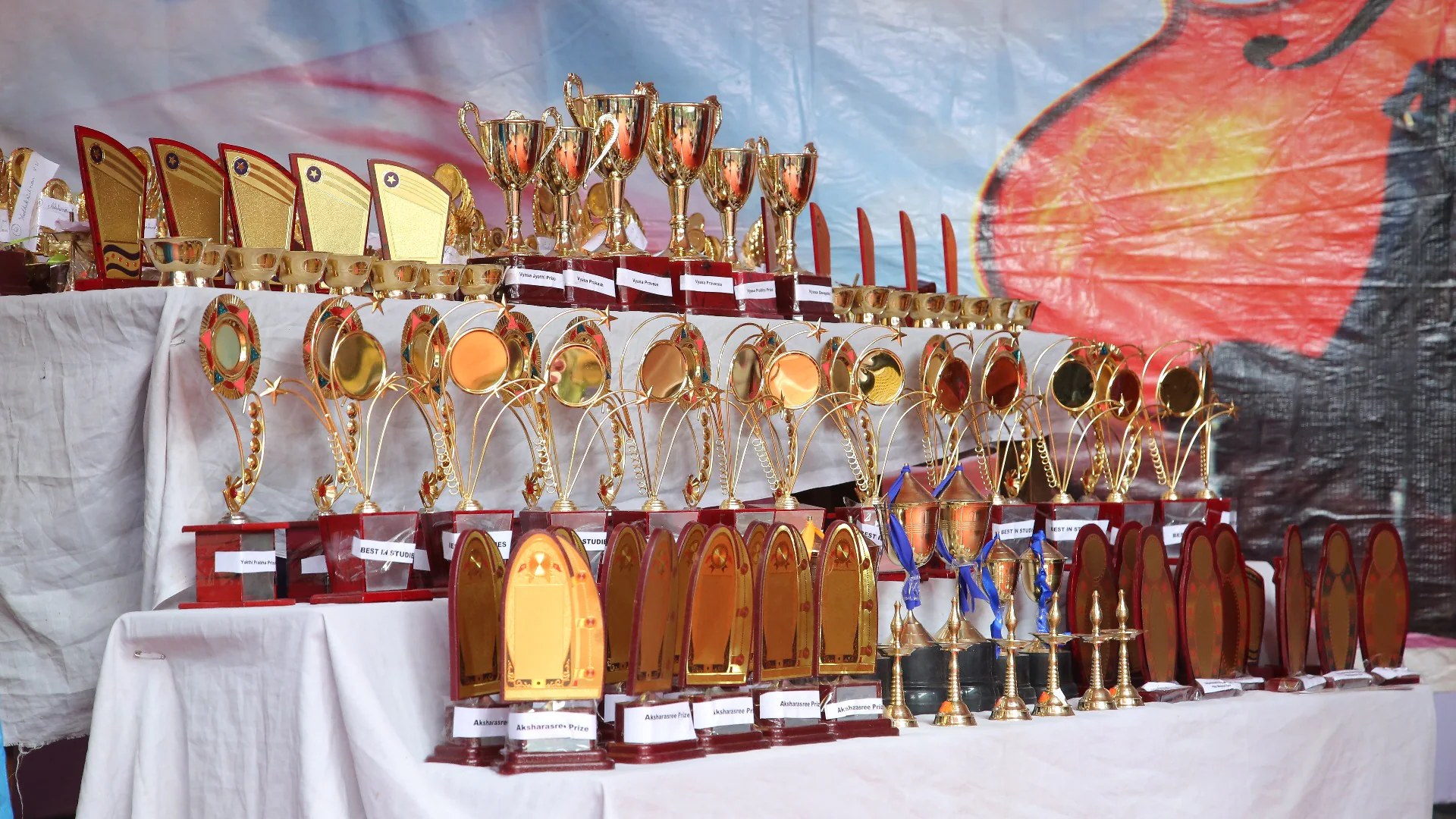 Vyasa Vidya Bhavan Gallery